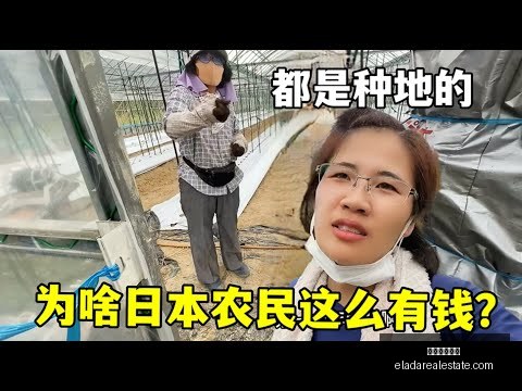 郑钦文迈阿,密赛四强折,不敌萨巴伦,米兰体育官网,米兰体育App,米兰体育登录,米兰体育平台,米兰体育入口