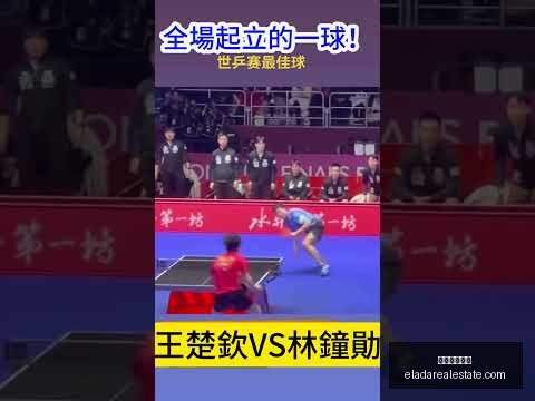馬略卡,皇家馬德里,本澤馬雙子,米兰体育官网,米兰体育App,米兰体育登录,米兰体育平台,米兰体育入口